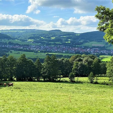 Ferienwohnung Natur-Pur Ehrenberg  Buitenkant foto