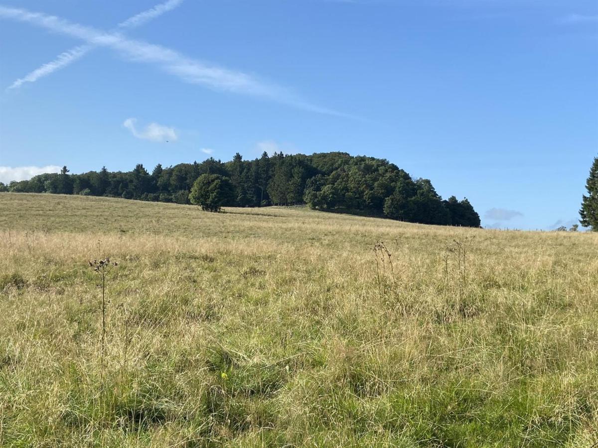 Ferienwohnung Natur-Pur Ehrenberg  Buitenkant foto