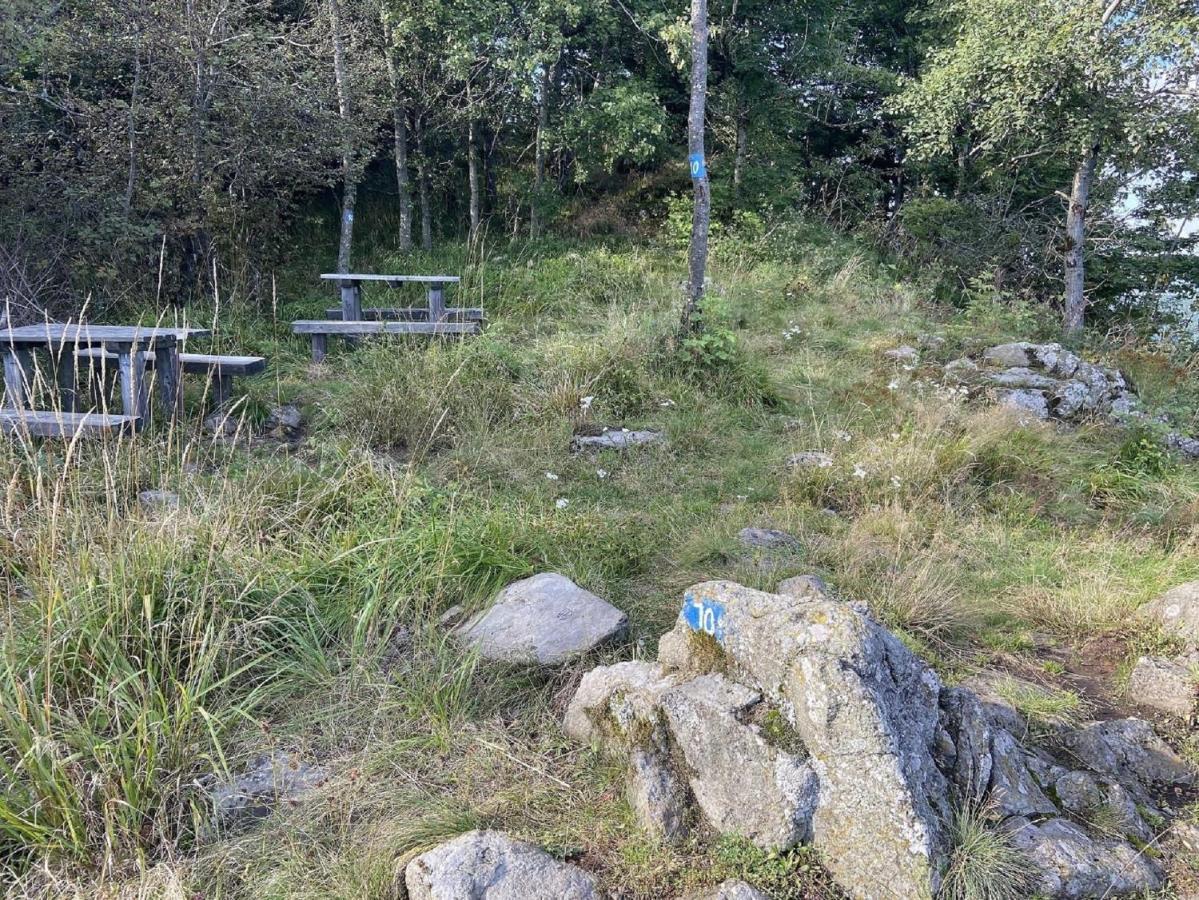Ferienwohnung Natur-Pur Ehrenberg  Buitenkant foto