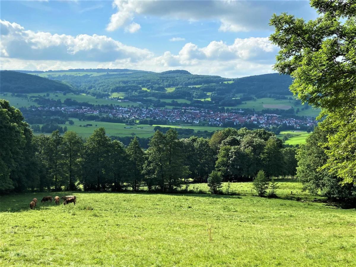 Ferienwohnung Natur-Pur Ehrenberg  Buitenkant foto